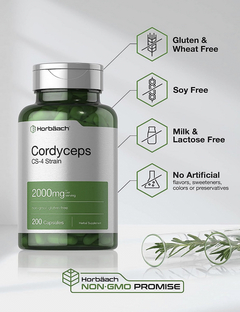 HONGO CORDYCEPS - 2000 MG - HORBAACH - 200 CAPSULAS - VIDACARDEL