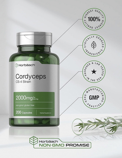 HONGO CORDYCEPS - 2000 MG - HORBAACH - 200 CAPSULAS - tienda online