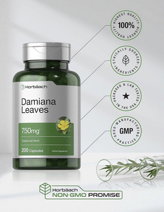 HOJA DE DAMIANA - 750 MG - HORBAACH - 200 CAPSULAS - tienda online