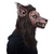 Máscara de Hombre Lobo, Cosplay/Halloween en internet