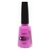 ESMALTE BIG 15,5 ML - loja online