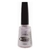 ESMALTE BIG 15,5 ML - loja online