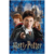 Harry Potter - Rompecabezas Lenticular 300 Piezas en internet