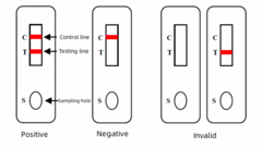 Green Spring Giardia(GIA) Antigen rapid test card (colloidal gold method) dog test kit - Green Spring