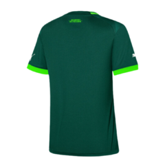 camisa palmeiras verde feminina, camisa feminina do palmeiras, camisa do palmeiras verde puma, camisa verde puma feminina do palmeiras, camisa woman palmeiras puma 