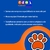 NEXGARD tablete mastigável cães de 25,1-50kg unidade - loja online