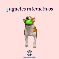 Banner de la categoría Juguetes interactivos