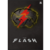 CADERNO BROCHURA 1/4 THE FLASH 80FLS