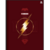 CADERNO BROCHURA 1/4 THE FLASH 80FLS - loja online