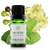 Sinergia Revigorante com Óleos Essenciais 10ml Terraflor - comprar online