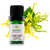 Óleo Essencial Ylang Ylang Completo 5ml - Terra Flor - comprar online