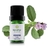 Óleo Essencial Natural de Verbena Índia 5ml – Terra Flor