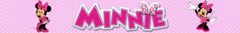 Banner de la categoría Minnie
