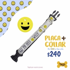 Combo collar + placa en internet