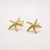 ARETES ESTRELLA