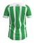 Camisa Coritiba II 24/25 Torcedor Diadora Masculina - Branca e Verde - comprar online