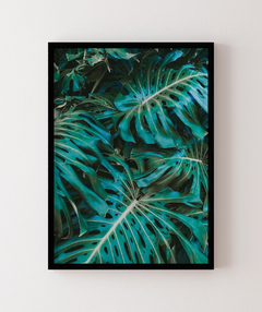 Quadro Decorativo Foto Monstera na internet