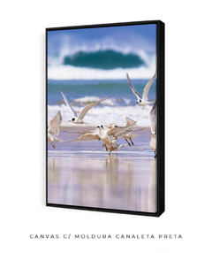 Dupla Quadro Pássaros Santinho 1 - Be decorart | Quadros Online