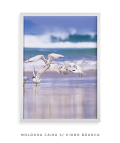 Dupla Quadro Pássaros Santinho 2 - Be decorart | Quadros Online