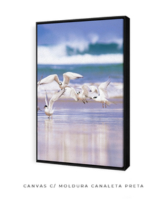 Dupla Quadro Pássaros Santinho 2 - Be decorart | Quadros Online