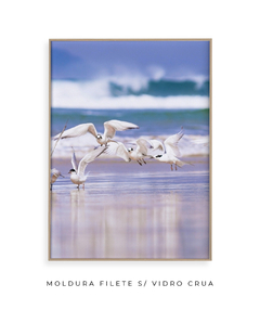 Dupla Quadro Pássaros Santinho 2 - comprar online