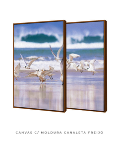 Dupla Quadro Pássaros Santinho - Be decorart | Quadros Online