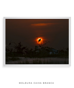 Quadro Sunset e Pássaro Santinho - Be decorart | Quadros Online