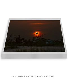 Quadro Sunset e Pássaro Santinho - loja online