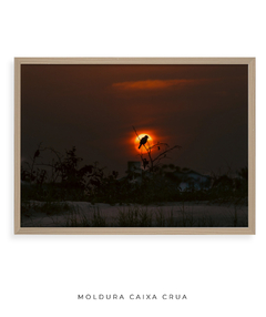 Imagem do Quadro Sunset e Pássaro Santinho