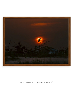 Quadro Sunset e Pássaro Santinho - comprar online