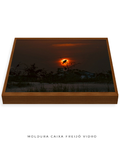 Quadro Sunset e Pássaro Santinho na internet