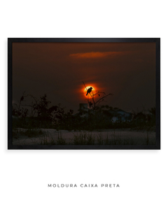 Quadro Sunset e Pássaro Santinho - Be decorart | Quadros Online