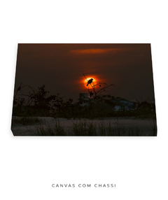 Imagem do Quadro Sunset e Pássaro Santinho