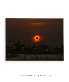 Quadro Sunset e Pássaro Santinho - comprar online