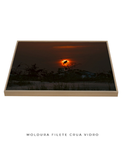 Quadro Sunset e Pássaro Santinho na internet