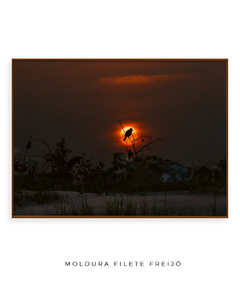 Quadro Sunset e Pássaro Santinho - Be decorart | Quadros Online