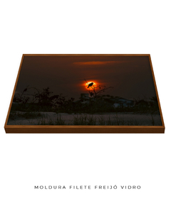 Quadro Sunset e Pássaro Santinho - loja online