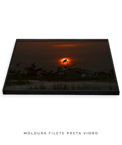 Quadro Sunset e Pássaro Santinho