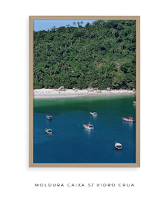 Imagem do Quadro Barcos e Praia Vista Aérea 02