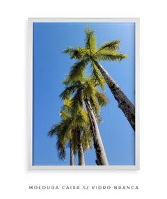 Quadro Coqueiros Tropical - Be decorart | Quadros Online