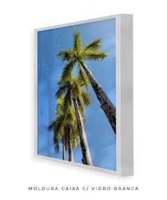 Quadro Coqueiros Tropical - loja online