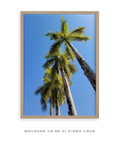 Imagem do Quadro Coqueiros Tropical