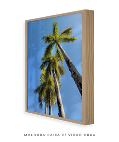 Quadro Coqueiros Tropical