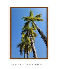 Quadro Coqueiros Tropical - comprar online