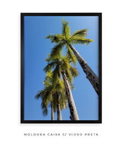 Quadro Coqueiros Tropical - Be decorart | Quadros Online