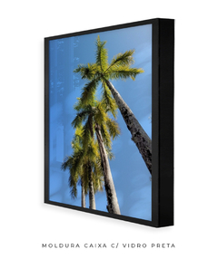 Quadro Coqueiros Tropical - loja online