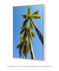 Quadro Coqueiros Tropical