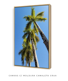 Quadro Coqueiros Tropical - comprar online