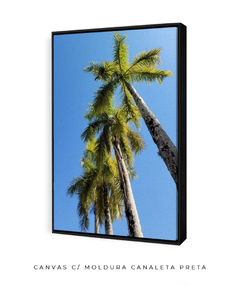 Quadro Coqueiros Tropical - Be decorart | Quadros Online