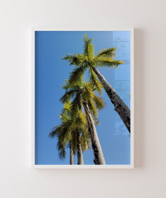 Quadro Coqueiros Tropical - comprar online